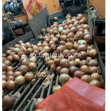 インドネシアへの新鮮な黄色玉ねぎ輸出
